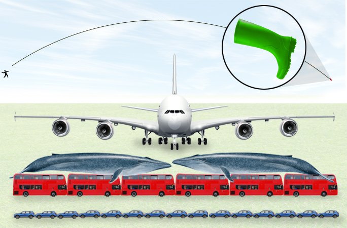welly-diagram.jpg